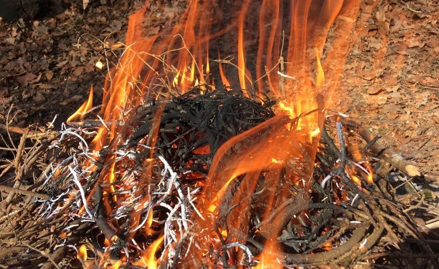 Feuer Res